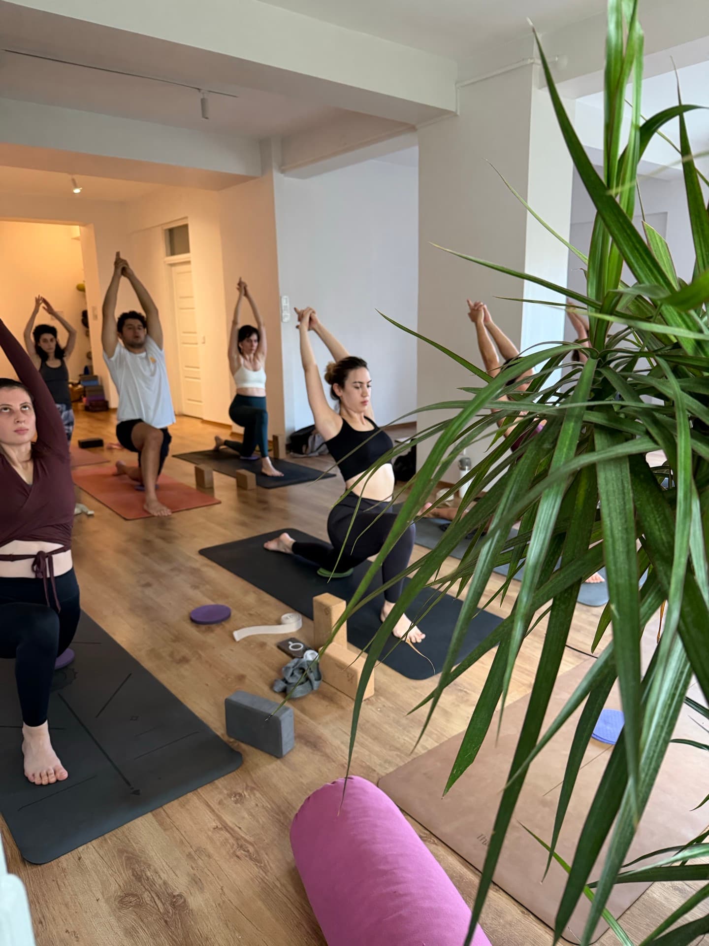 Yoga Iatro Stüdyo - Huzurlu yoga ortamı 1